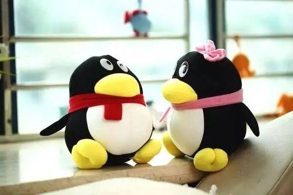 贷款平台通过手机号能查到个人身份信息吗？